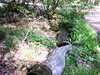 19800101-AVI_0002-frame0003.jpg