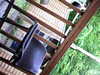 19800101-AVI_0002-frame0009.jpg