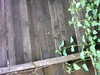 19800101-AVI_0002-frame0011.jpg
