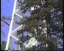 19910704-mountwilson-frame0013.jpg