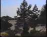 19910704-mountwilson-frame0031.jpg