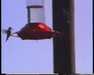 19910704-mountwilson-frame0032.jpg