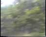 19910709-volcanosnationalpark_mpg-frame0004.jpg