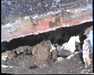 19910709-volcanosnationalpark_mpg-frame0035.jpg