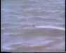 19910709-volcanosnationalpark_mpg-frame0036.jpg