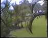 19910710-hilohotelroom_mpg-frame0009.jpg