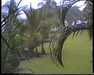 19910710-hilohotelroom_mpg-frame0011.jpg