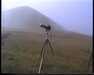 19910711-theeclipse_mpg-frame0002.jpg