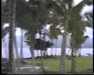 19910711-walkingintohilo_mpg-frame0003.jpg