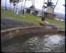 19910711-walkingintohilo_mpg-frame0007.jpg