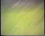 19910711-walkingintohilo_mpg-frame0008.jpg