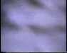 19910711-walkingintohilo_mpg-frame0010.jpg