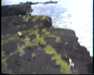 19910711-walkingintohilo_mpg-frame0013.jpg