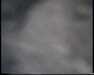 19910711-walkingintohilo_mpg-frame0014.jpg