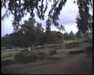19910711-walkingintohilo_mpg-frame0017.jpg
