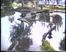 19910711-walkingintohilo_mpg-frame0018.jpg