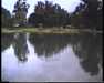 19910711-walkingintohilo_mpg-frame0019.jpg