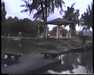19910711-walkingintohilo_mpg-frame0020.jpg