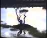 19910711-walkingintohilo_mpg-frame0021.jpg