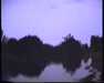 19910711-walkingintohilo_mpg-frame0023.jpg