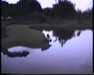 19910711-walkingintohilo_mpg-frame0024.jpg