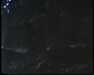 19910711-walkingintohilo_mpg-frame0025.jpg