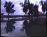 19910711-walkingintohilo_mpg-frame0027.jpg