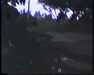 19910711-walkingintohilo_mpg-frame0031.jpg