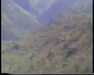 19910715-kawaii_mpg-frame0009.jpg