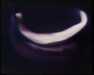 19910731-rizon_eclipse1990_mpg-frame0009.jpg