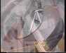 19910731-rizon_eclipse1990_mpg-frame0029.jpg