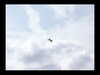 20030607-PICT0094-frame0001.jpg
