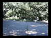 20030727-PICT0057-frame0001.jpg