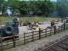 20040613-MVI_0597-frame0001.jpg