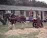 20050612-JIMAG0002-frame0001.jpg