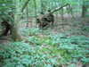 20050612-MVI_1092-frame0001.jpg