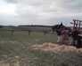 20050612-_IMAG0001-frame0002.jpg