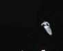 20050809-IMAG0017-frame0004.jpg