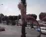 20051029-IMAG0005-frame0024.jpg