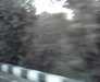 20051104-IMAG0004-frame0001.jpg