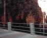 20051104-IMAG0007-frame0002.jpg
