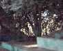 20051104-IMAG0016-frame0001.jpg