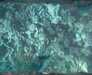 20051106-IMAG0002-frame0007.jpg