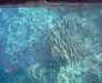 20051106-IMAG0002-frame0008.jpg