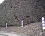 20060315-IMAG0001-frame0003.jpg