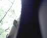 20060528-IMAG0006-frame0001.jpg