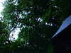 2008-05-22:Dropzone
