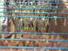 20090413-DSCF3846-frame0004.jpg