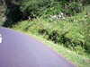 20090723-AVI_0002-frame0005.jpg