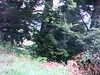 20090723-AVI_0002-frame0019.jpg